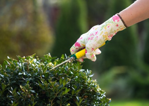 Crofton Park gardeners improving a residential garden