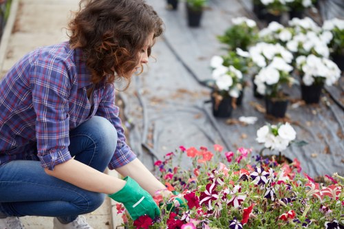 Team introduction for Gardeners Crofton Park service