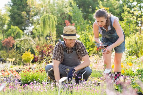 Garden maintenance work in a Crofton Park garden with tidy lawns and borders