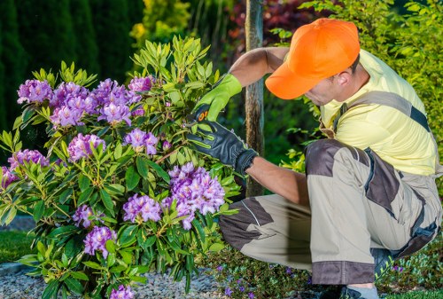 Low-carbon van supporting sustainable gardening operations