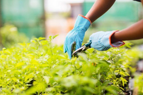 Risk assessment and safety planning for garden services in Crofton Park