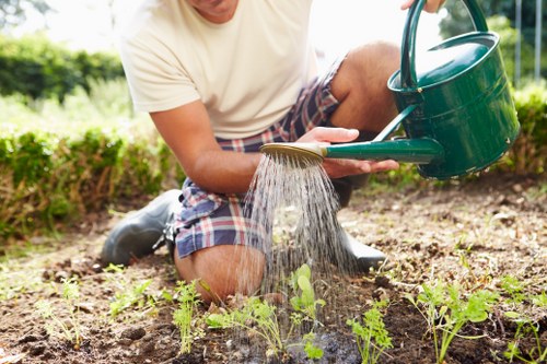 Well-shaped hedge maintenance in a Crofton Park outdoor space