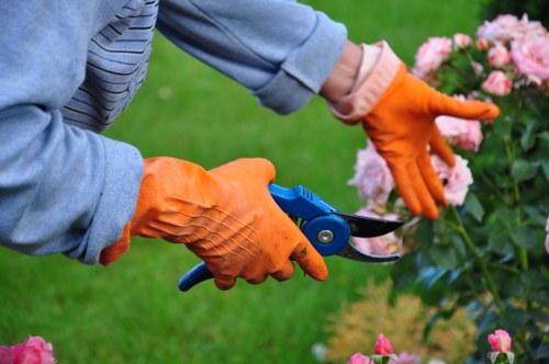 Seasonal lawn mowing in Crofton Park with even grass finish