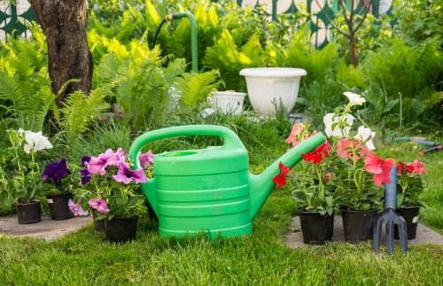 Shade-tolerant planting scheme for Crofton Park gardens