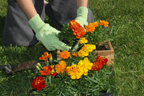Lawn care service for a Crofton Park garden with healthy turf and edging