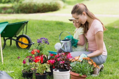 A well-kept Crofton Park garden with structured planting and lawn care