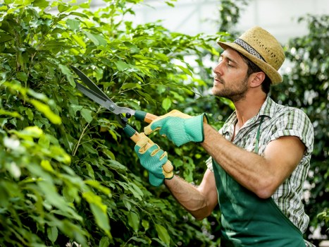 Professional gardener reviewing job details before work