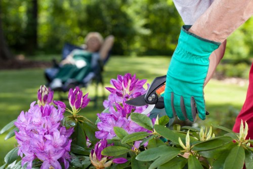 Crofton Park garden maintenance featuring weeding, mulching, and border care