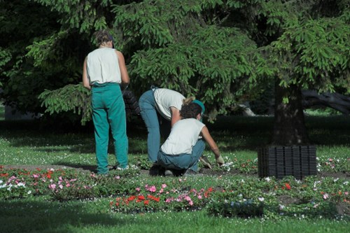 Local gardener improving a Crofton Park outdoor space