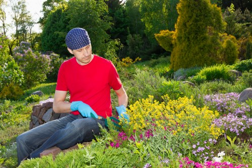 Soft landscaping and planting in Crofton Park