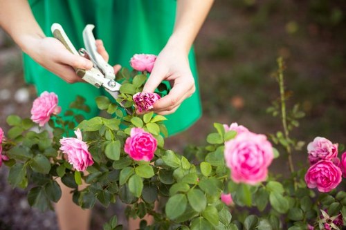 Seasonal garden care by gardeners Crofton Park in a tidy outdoor space