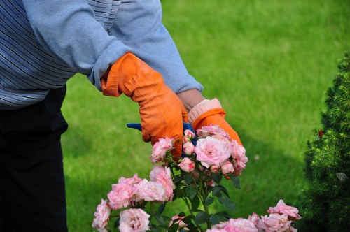 Professional tree removal service in Crofton Park near a residential property