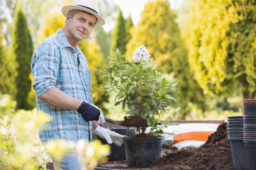 Local garden care in Crofton Park with seasonal attention