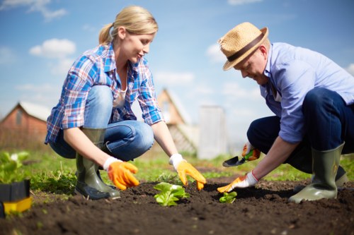 Seasonal garden care for Crofton Park homes