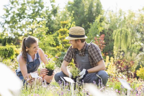 Training and continuous improvement in landscaping operations