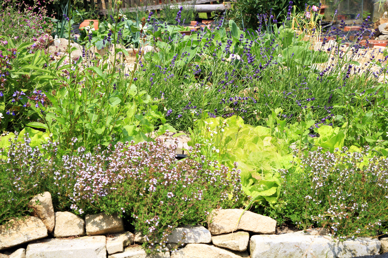flower borders Garden